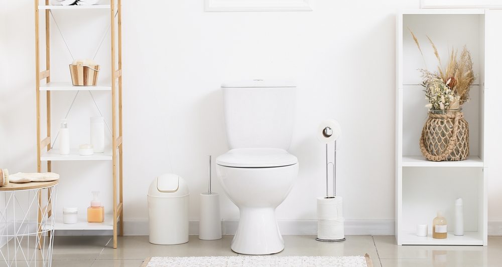 How to clean a toilet brush and holder